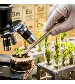 Mikrobiom a kertben: így segítenek a hasznos baktériumok és gombák
