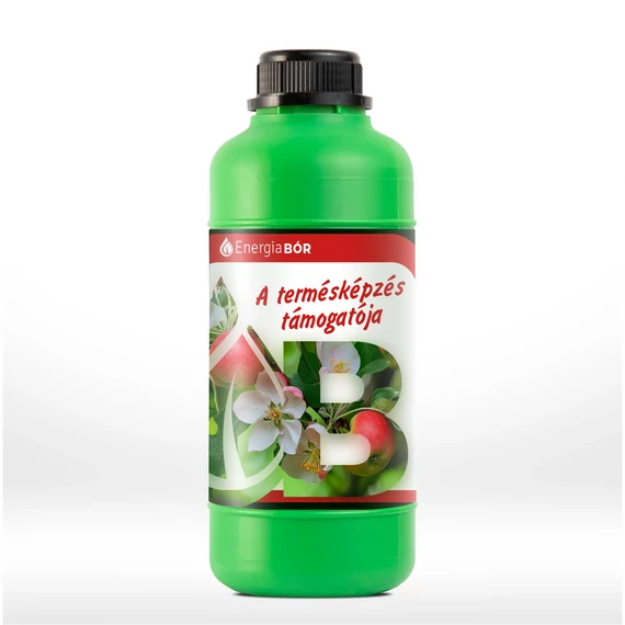 Energia Bór