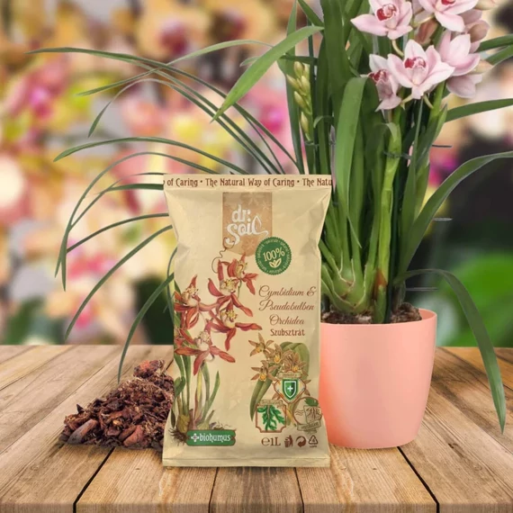 Cymbidium & Pseudobulben orchidea szubsztrát csomagolás virággal